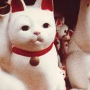 내 글도 에세이가 될 수 있을까 이미지