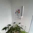 슬로우어스제주 이미지