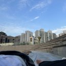 윤돌숲