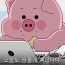 스테이누누