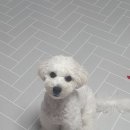 살롱드 멍 이미지