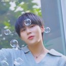 볼리즘 이미지