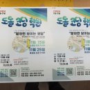 도돌코딩학원 이미지