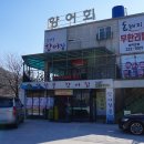 감천향어집 이미지