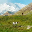 The BBs JEJU 이미지