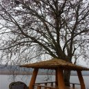 낙동강 남지개비리길(용산) 이미지