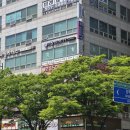 계산동 속눈썹펌 받고 분위기까지 달라진 후기 더율뷰티 대박이네요