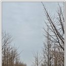 문양역길 이미지