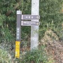 매봉길 | 모악산 매봉길~꽃길