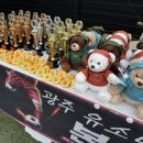 뉴에디슨태권도 이미지