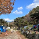 [캠핑장 리뷰/반려견 동반 캠핑] 포천 가보세 캠핑장 후기 (with 백운계곡, 가을 캠핑)