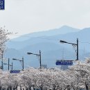 해병로 티스토리