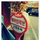 헤어인러브