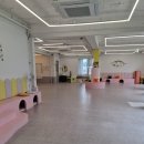 펫탑클래스애견호텔&미용 | 대구 동구 신천동 동대구역 근처 애견유치원 - 펫사랑유치원