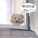 은혜손칼국수칡냉면