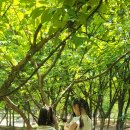 순복음어린이집 이미지