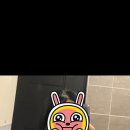 세모헤어디자인 네이버블로그
