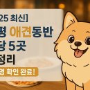 [2025 최신] 가평 애견동반 식당 추천 5곳 총정리 (+운영 확인 완료!)