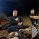 형제조류 이미지