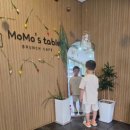 모모스테이블 이미지