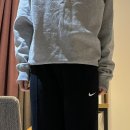 핏라이즈 이미지