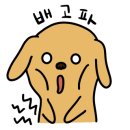 큐브디앤씨 이미지