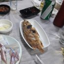 넘버원회도매