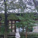 2025년 10월 7일 길상사/나폴레옹과자점 성북본점/성북동칼국수의 낙지칼만두국 이미지