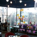 본점 리빙센스헤어 Daum카페