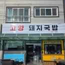 고향순대 | 울산 남구 맛집 국밥 고향돼지국밥 겉절이 순대 먹고 온 후기