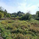 사방공인중개사사무소 이미지