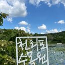 태안 가볼만한곳 천리포수목원 │ 바다와 수목원을 한 눈에