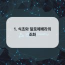 케어건강홈