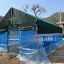 사철농장 | [충북 충주] 셀프로 비닐하우스 자재 구입하여 짓기/사용 후기