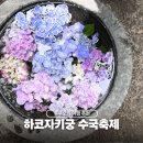 후쿠오카 6월 여행 추천 하코자키궁 수국축제 가는법 솔직 후기