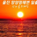 울진대게집일출 이미지