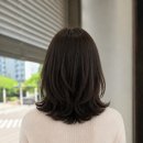 초지헤어라인