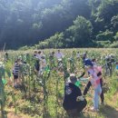 냇강마을 이미지