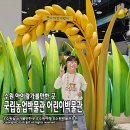 수원 국립농업박물관 어린이 박물관 예약 후 아이랑 방문후기 꿀팁有