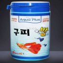 구피컴퍼니 이미지