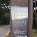 웅양권역