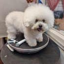 유스타 그루밍 이미지