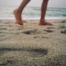 덕산 스플라스 리솜 워터파크 후기 – 리조트, 준비물, 주의사항, 할인 방법