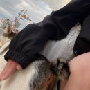 테인566