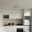 라벤더하우스 | 노스시드니 에어비앤비, 라벤더하우스 광탈, 같은건물 에어비앤비 후기 ,링크공유