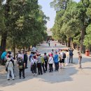 곡부&#39;공자유적지&#39; 이미지