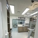 24시 스탠다드 동물의료센터 이미지