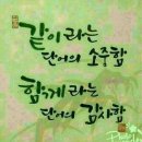 1790 Daum카페