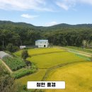 칠보산공인중개사사무소 이미지