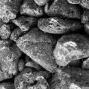 제주일상 이미지